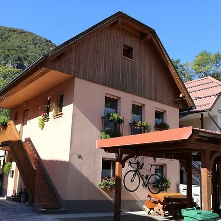 Apartma Na Vasi Appartement Zaga Buitenkant foto