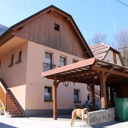 Apartma Na Vasi Appartement Zaga Buitenkant foto