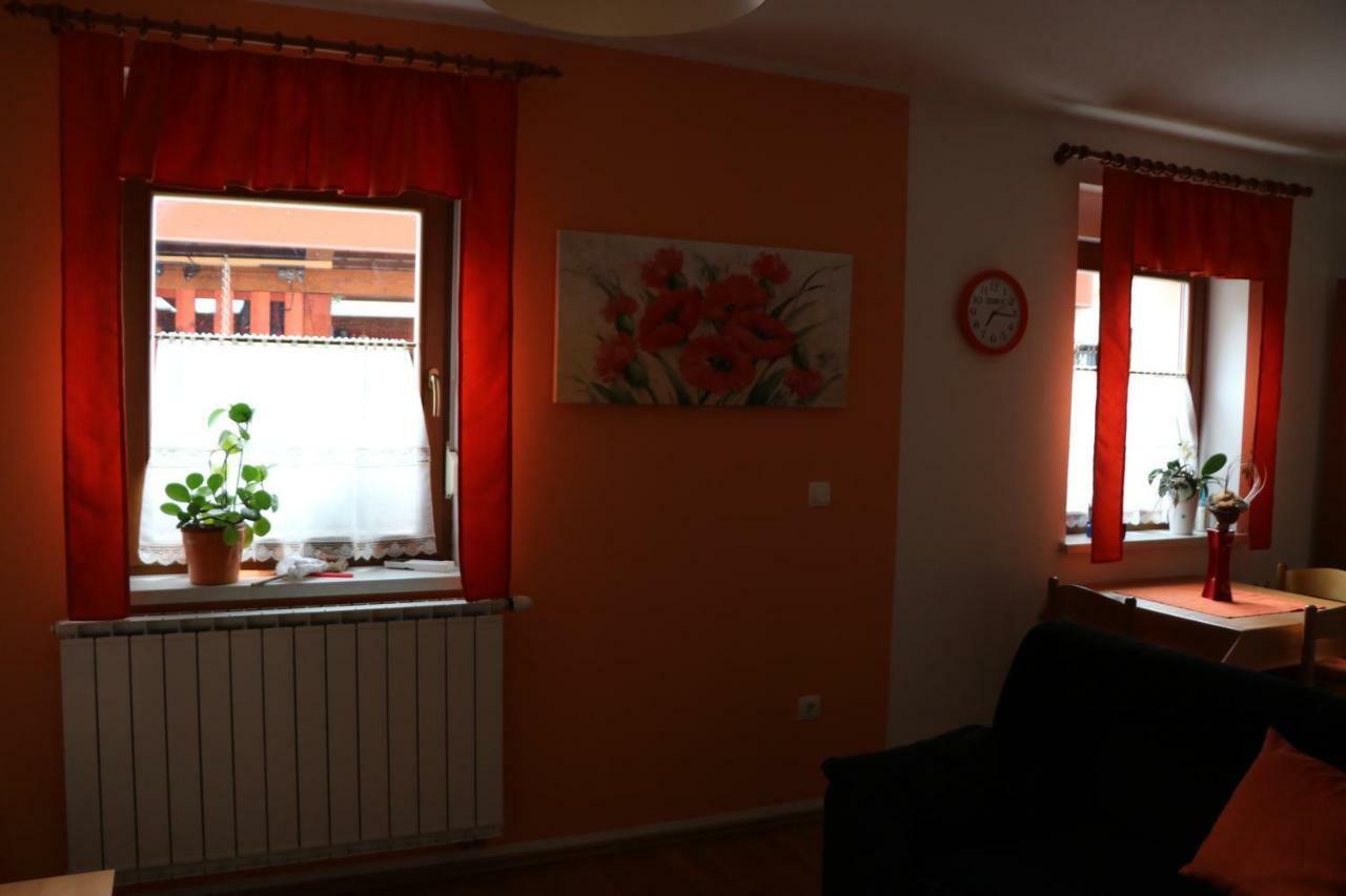 Apartma Na Vasi Appartement Zaga Buitenkant foto