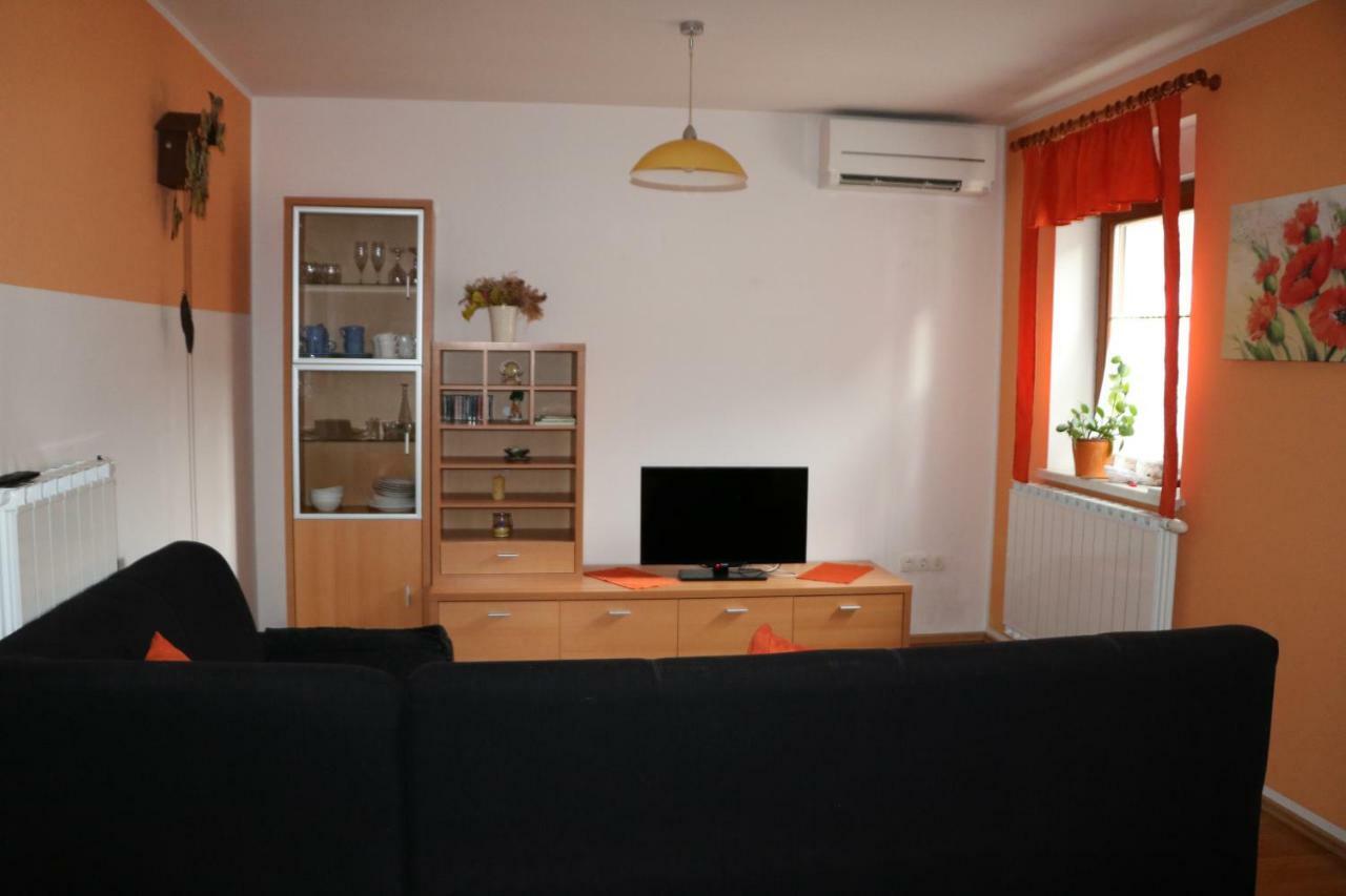 Apartma Na Vasi Appartement Zaga Buitenkant foto