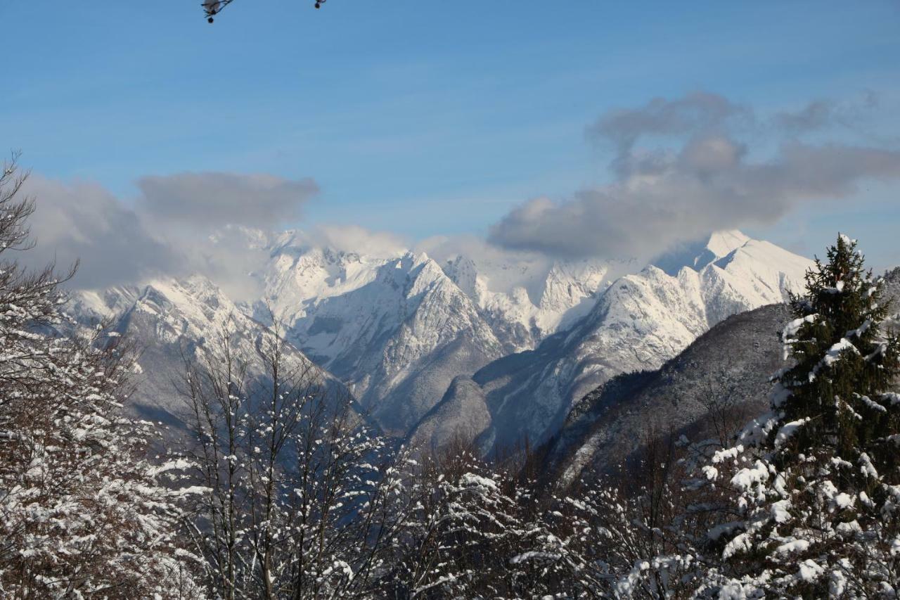 Apartma Na Vasi Appartement Zaga Buitenkant foto