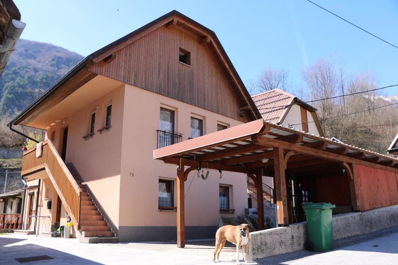Apartma Na Vasi Appartement Zaga Buitenkant foto